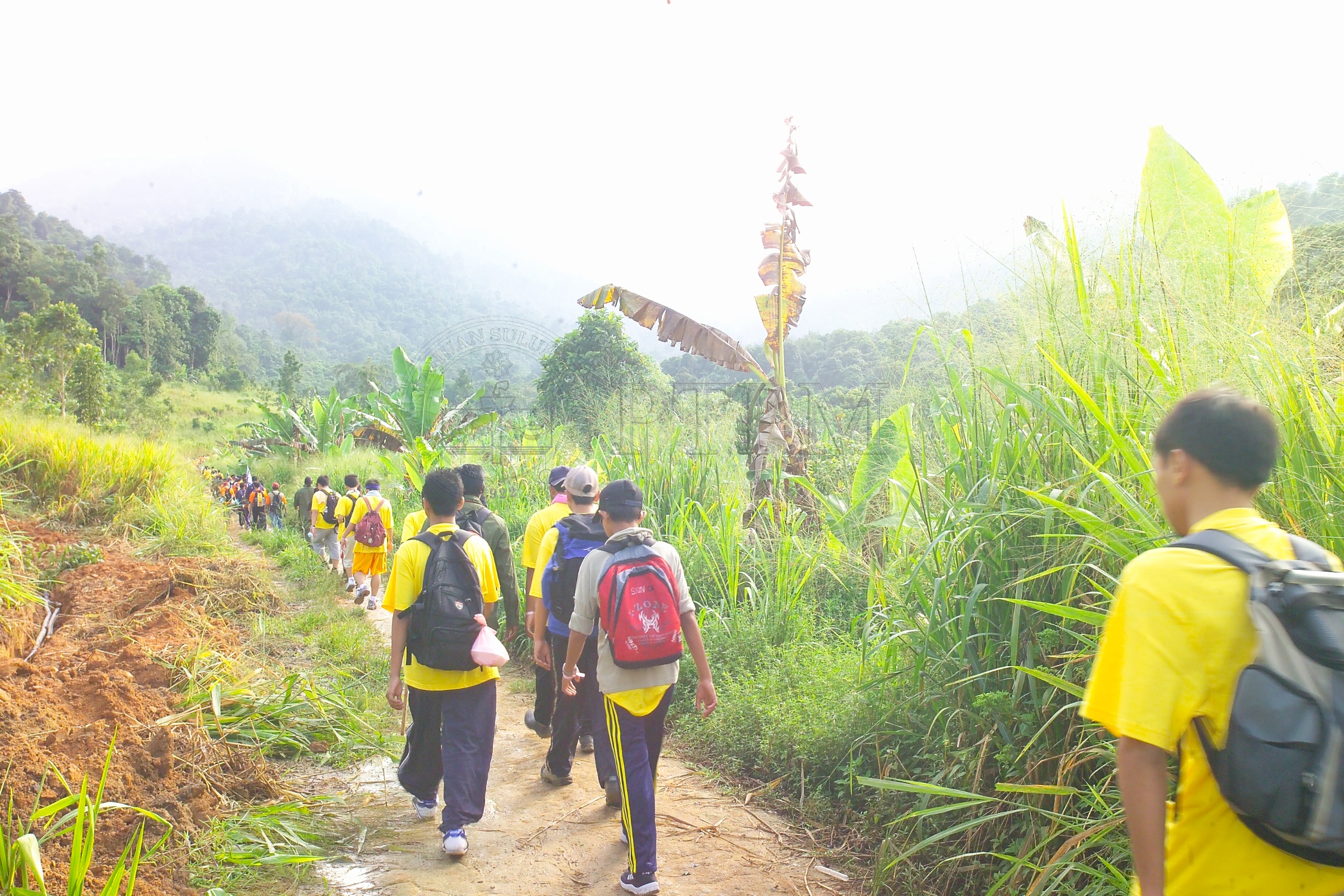 PTPM 06 31 kilau D9X44156